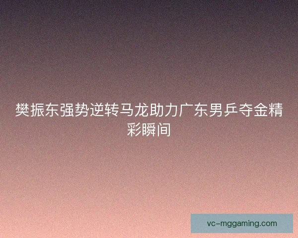 樊振东强势逆转马龙助力广东男乒夺金精彩瞬间 樊振东强势逆转马龙助力广东男乒夺金精彩瞬间
